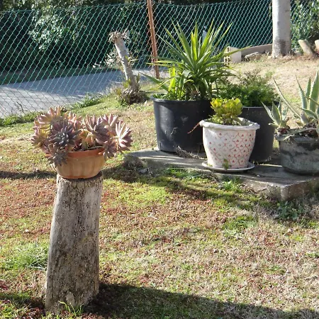 In Collina A Due Passi Dal Mare