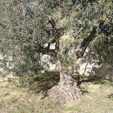 In Collina A Due Passi Dal Mare * 科隆内拉