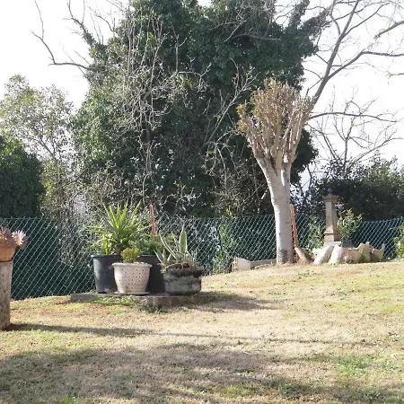 Vila In Collina A Due Passi Dal Mare *