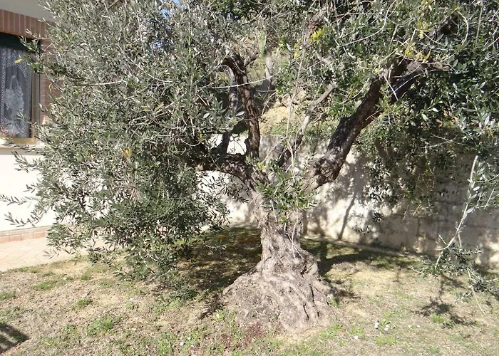 In Collina A Due Passi Dal Mare * 콜론넬라